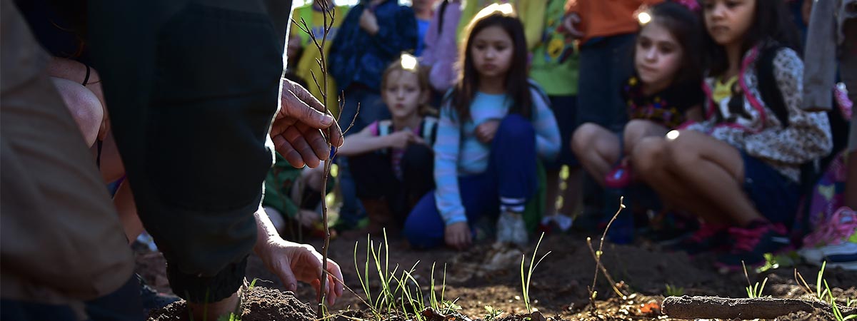 Childhood Ecologies RFG Banner