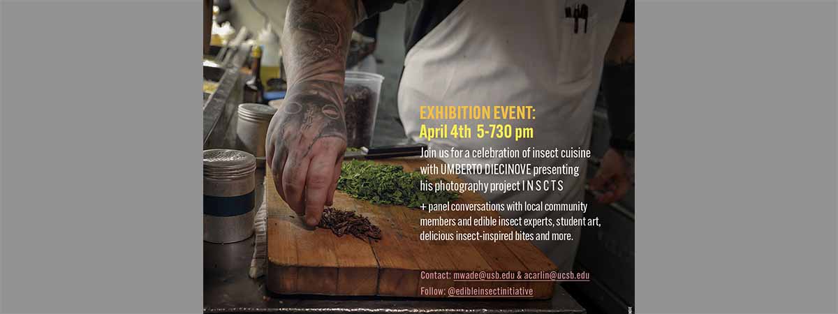 Edible Insects Art Exhibition