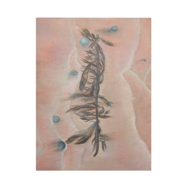 Evette Ton, Seaweed